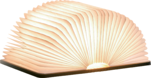 Gingko LED osvětlení Book mini v dekoru javor Gingko