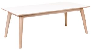 Nordic Living Bílý konferenční stolek Halden s přírodní podnoží 120x60 cm Nordic Living