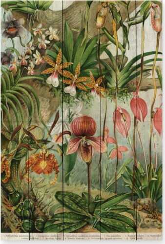 Nástěnná dekorace z borovicového dřeva Madre Selva Jungle Flowers