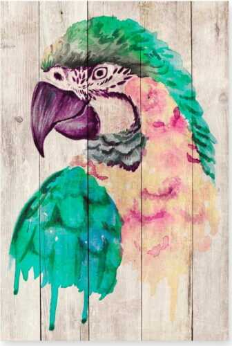 Nástěnná dekorace z borovicového dřeva Madre Selva Watercolor Parrot