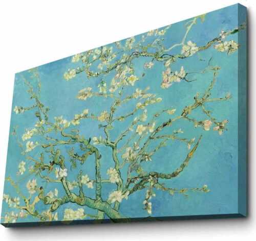 Nástěnná reprodukce na plátně Vincent Van Gogh Almond Blossom