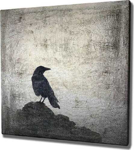 Nástěnný obraz na plátně Black Bird