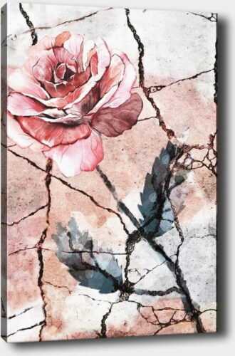 Nástěnný obraz na plátně Tablo Center Lonely Rose