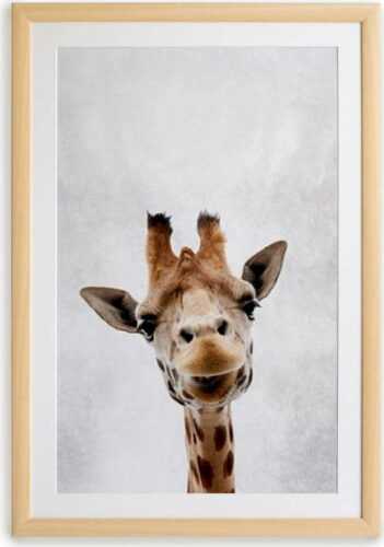 Nástěnný obraz v rámu Surdic Giraffe