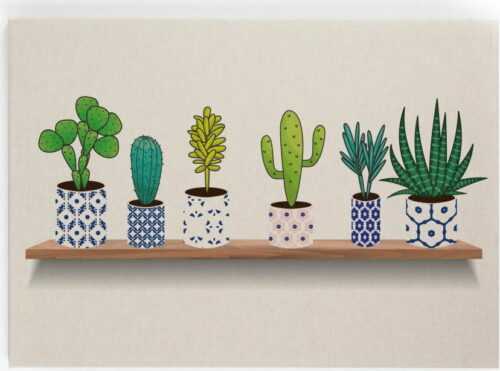 Obraz na plátně Really Nice Things Lino Cactus Shelve