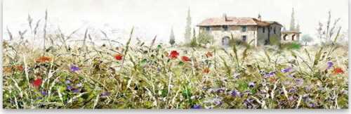 Obraz na plátně Styler Grasses