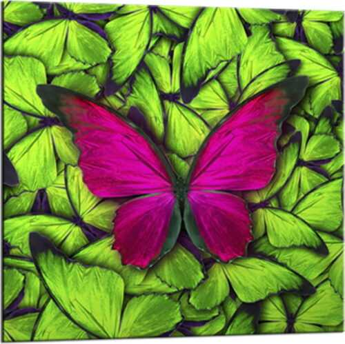 Obraz Styler Glasspik Green Butterfly