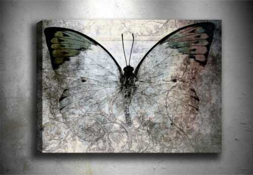 Obraz Tablo Center Fading Butterfly