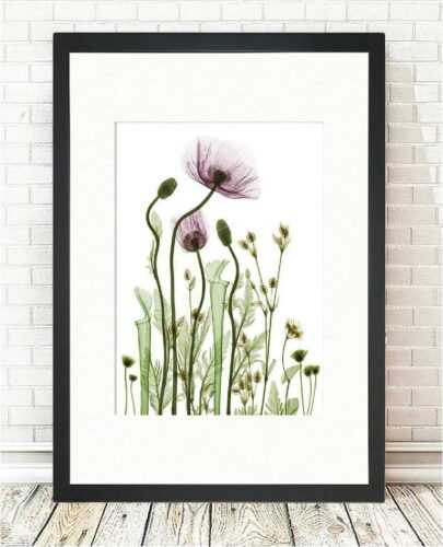 Obraz Tablo Center Wild Plants