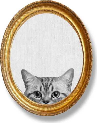 Oválný nástěnný obraz v rámu Really Nice Things Cat