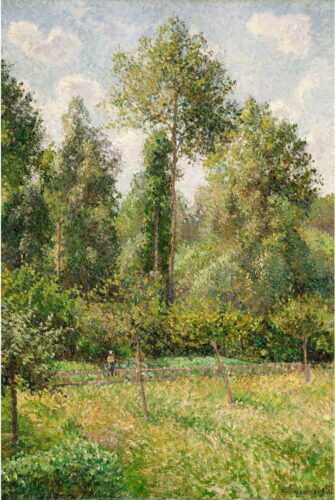 Reprodukce obrazu Camille Pissarro - Poplars Éragny