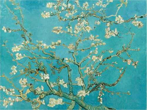 Reprodukce obrazu Vincenta van Gogha - Almond Blossom