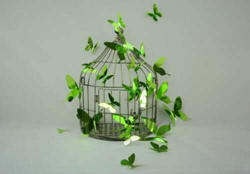 Sada 12 adhezivních 3D samolepek Ambiance Butterflies Green Ambiance