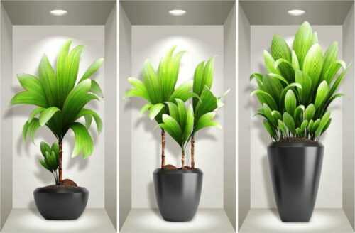 Sada 3 3D samolepek na zeď Ambiance Exotic Plants Ambiance