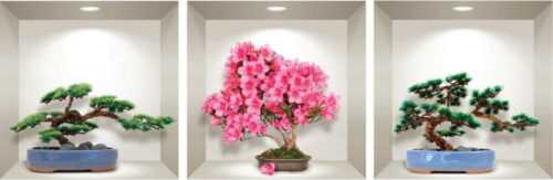 Sada 3 3D samolepek na zeď Ambiance Natural and Colorful Bonsai Ambiance