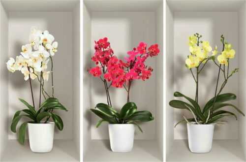 Sada 3 3D samolepek na zeď Ambiance Orchids Ambiance