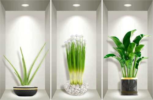 Sada 3 3D samolepek na zeď Ambiance Plants of the Tropics Ambiance