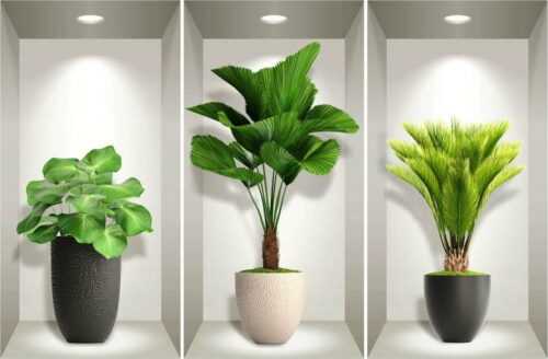 Sada 3 3D samolepek na zeď Ambiance Tropical Plants Ambiance