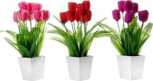 Sada 3 dekorací ve tvaru květiny Unimasa Tulip Unimasa