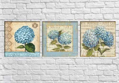 Sada 3 obrazů Tablo Center Hydrangea Postale Tablo Center