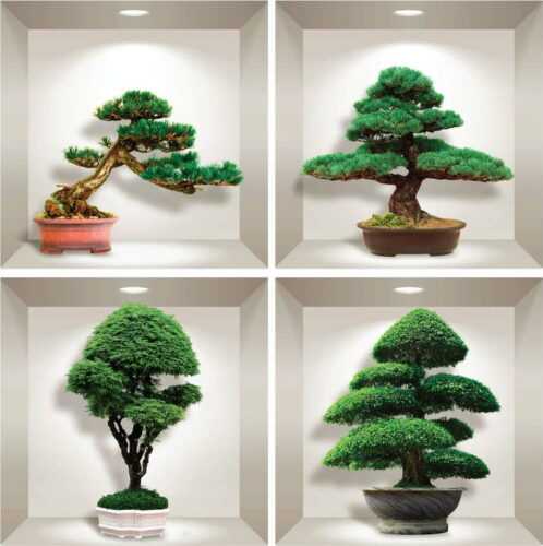 Sada 4 3D samolepek na zeď Ambiance Bonsai Design Ambiance