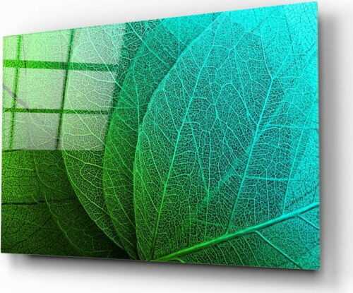 Skleněný obraz Insigne Green Leaf Insigne