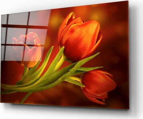 Skleněný obraz Insigne Tulips Insigne