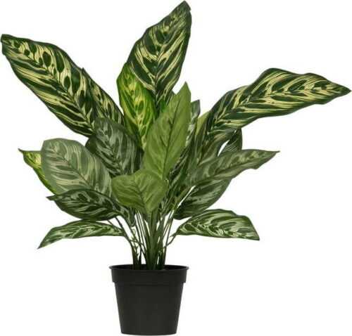 Umělá aglaonema WOOOD