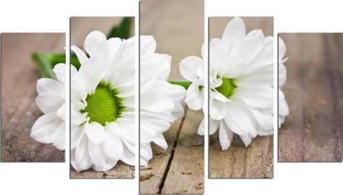 Vícedílný nástěnný obraz White Gerbera Fascination