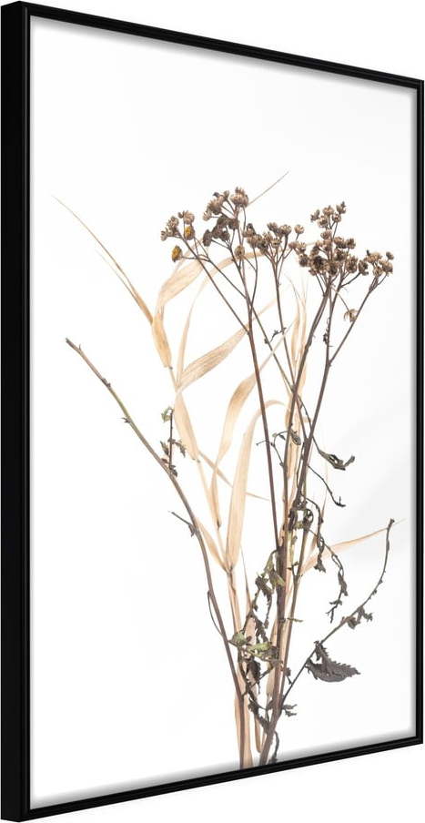 Plakát v rámu Artgeist Diary of a Herbalist