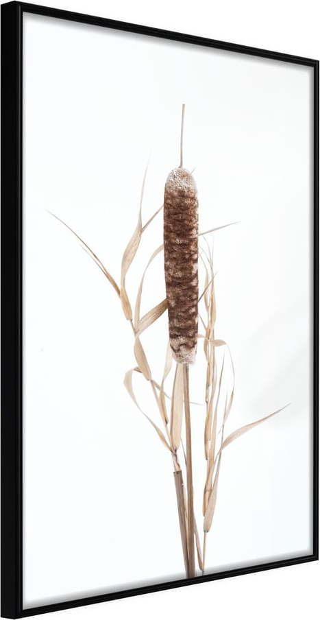 Plakát v rámu Artgeist Typha