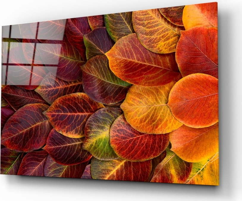 Skleněný obraz Insigne Fall Insigne