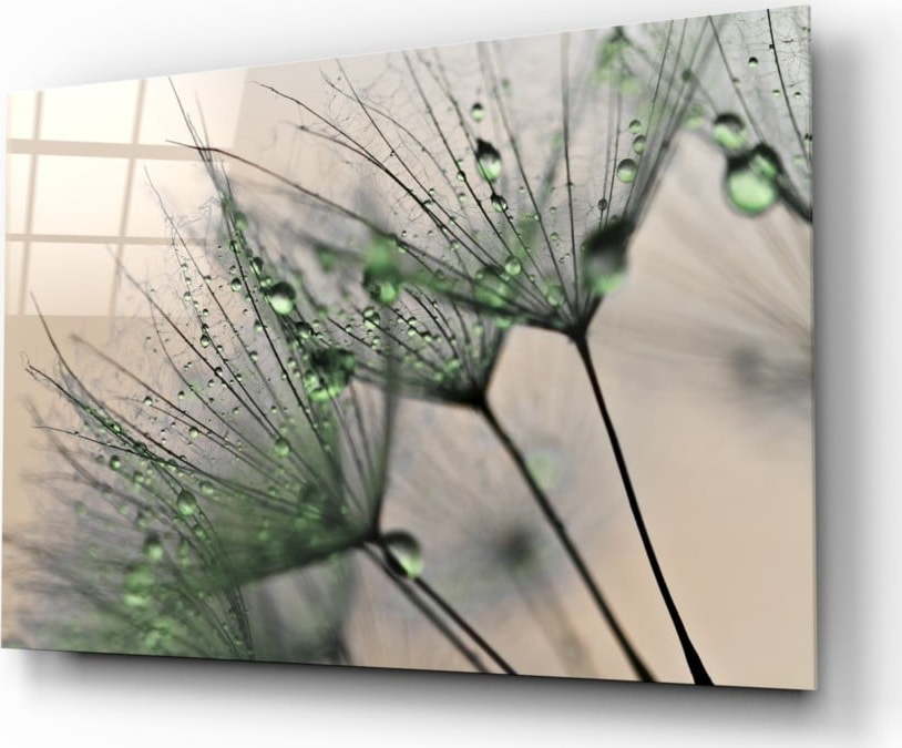 Skleněný obraz Insigne Green Dandelion