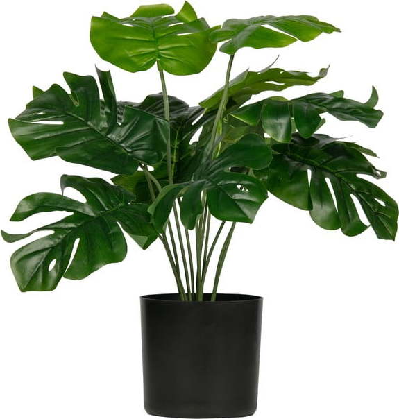 Umělá monstera WOOOD