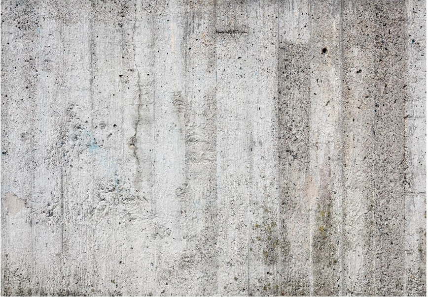 Velkoformátová tapeta Artgeist Grey Emperor