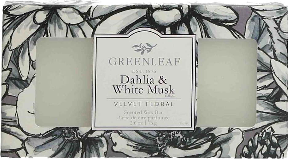 Vonný vosk do aromalampy Greenleaf Dahlia White Musk Greenleaf