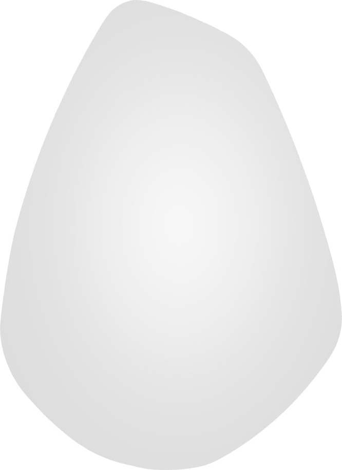 Nástěnné zrcadlo PT Living Organic Oval