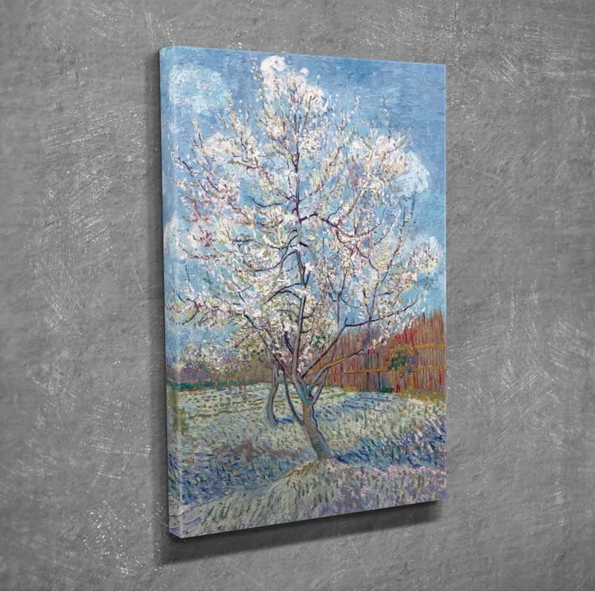 Nástěnný obraz na plátně Blossom