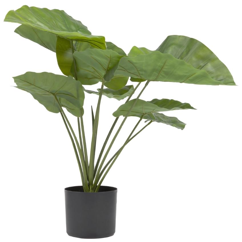 Umělá květina Kave Home Alocasia 57 cm Kave Home