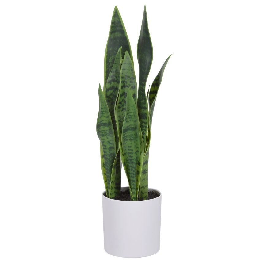 Umělá květina Kave Home Sansevieria Kave Home