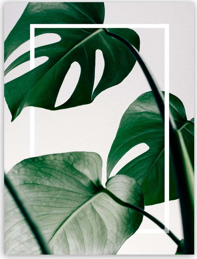Obraz Styler Canvas Greenery Monstera