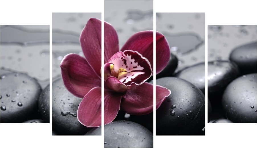 Vícedílný obraz Insigne Saar