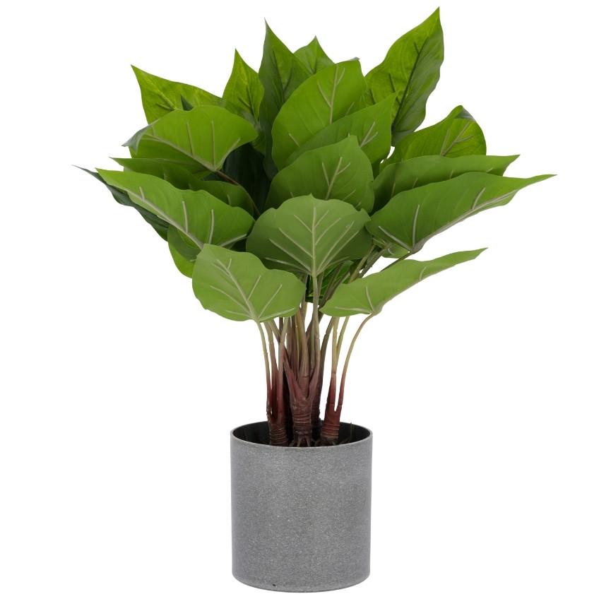 Umělá květina Kave Home Anthurium 50 cm Kave Home