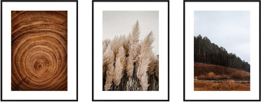 Obrazy v sadě 3 ks 30x40 cm - knor knor