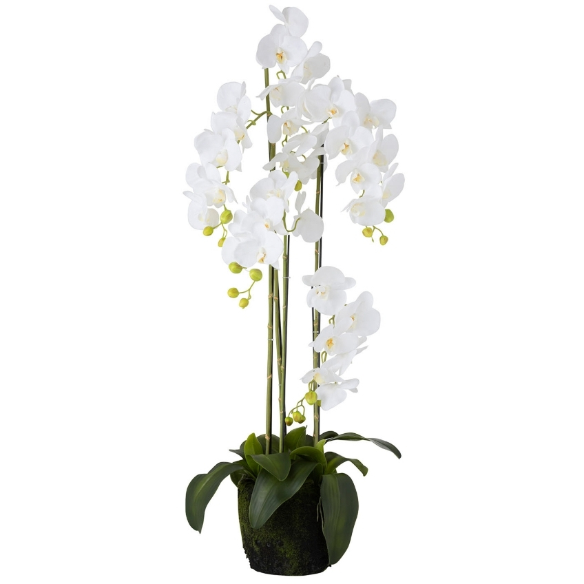Umělá květina J-Line Maryath Orchid 120 cm J-line