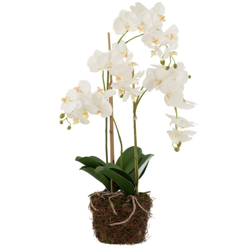 Umělá květina J-Line Maryath Orchid 75 cm J-line