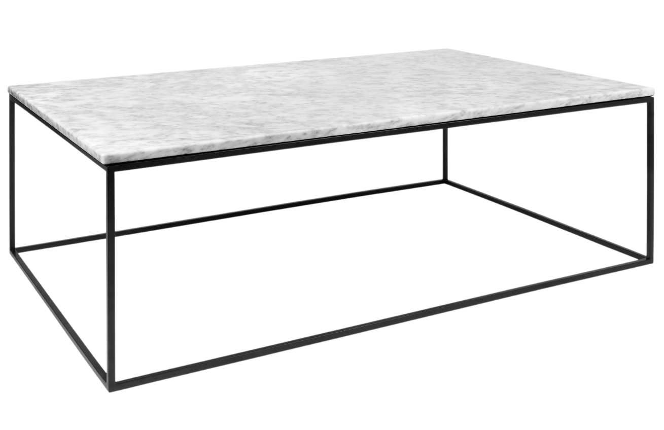 Bílý mramorový konferenční stolek TEMAHOME Gleam 120 x 75 cm s černou podnoží Temahome