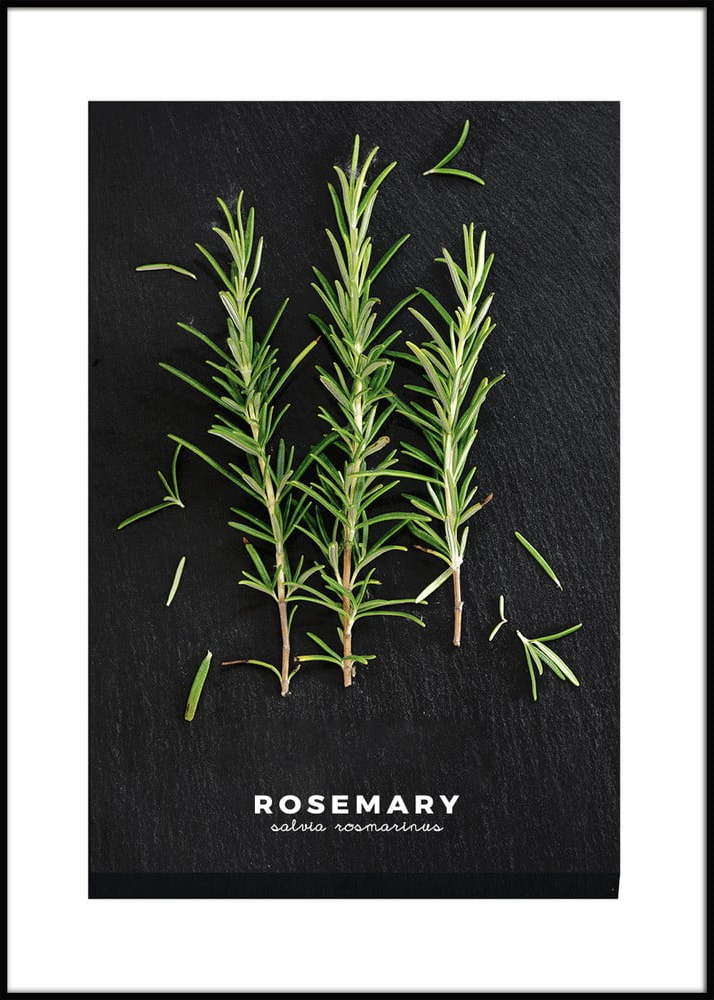 Plakát v rámu 50x70 cm Rosemary – Styler Styler