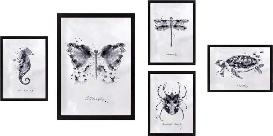 Obrazy v sadě 5 ks 34x44 cm Butterfly – Wallity Wallity