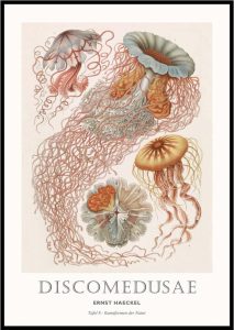 Plak&aacute;t v r&aacute;mu 30x40 cm Tafel &ndash; Malerifabrikken Malerifabrikken